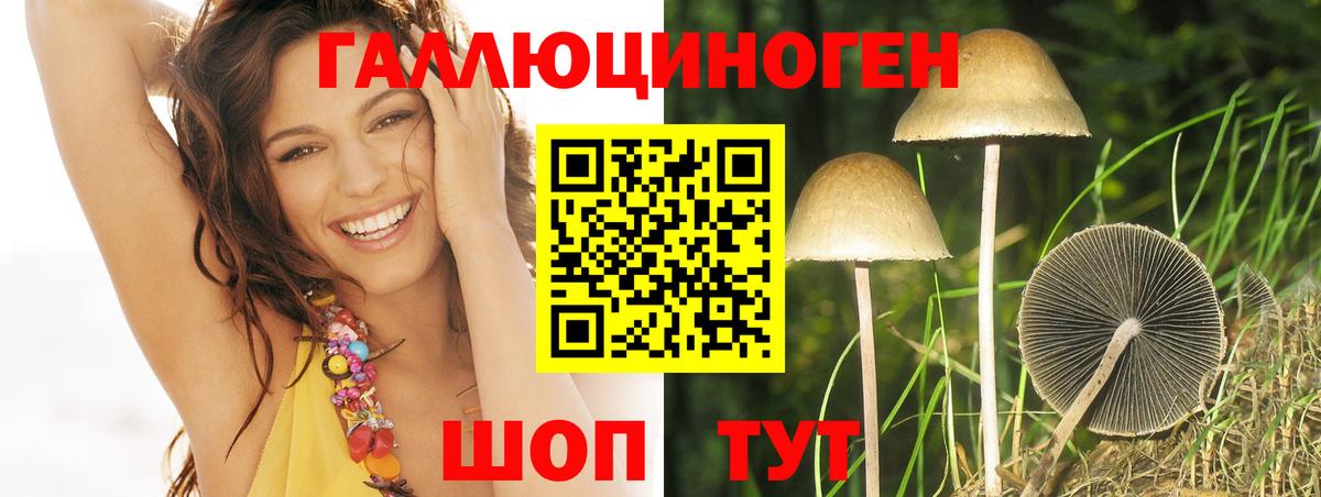 Галлюциногенные грибы ЛСД Белово